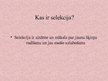 Prezentācija 'Ābeļu selekcija', 2.