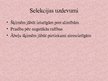 Prezentācija 'Ābeļu selekcija', 5.