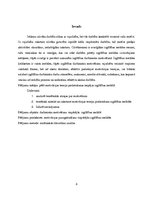 Referāts 'Motivācijas teoriju pielietošanas iespējas izglītības darbinieku motivēšanā', 3.