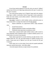 Prakses atskaite 'AS "BigBank" prakses atskaite', 3.