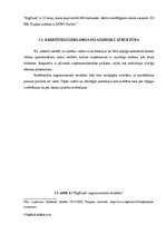 Prakses atskaite 'AS "BigBank" prakses atskaite', 5.