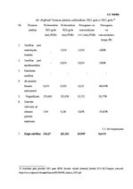 Prakses atskaite 'AS "BigBank" prakses atskaite', 11.