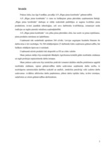 Prakses atskaite 'A/s "Rīgas piena kombināts"', 3.