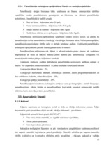 Prakses atskaite 'A/s "Rīgas piena kombināts"', 13.