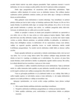 Prakses atskaite 'A/s "Rīgas piena kombināts"', 28.