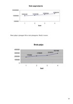 Prakses atskaite 'A/s "Rīgas piena kombināts"', 30.