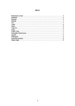 Konspekts 'Rokmūzikas attīstība Latvijā', 2.