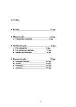 Referāts 'Akmens pilis, termas un arēnas', 2.