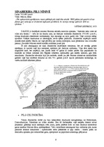 Referāts 'Akmens pilis, termas un arēnas', 6.