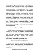 Referāts 'CSDD reklāmas kampaņas analīze', 6.