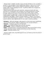 Referāts 'Zigmunda Skujiņa romāna "Kailums" analīze', 3.