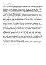 Referāts 'Zigmunda Skujiņa romāna "Kailums" analīze', 5.