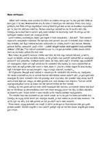 Referāts 'Zigmunda Skujiņa romāna "Kailums" analīze', 6.