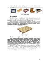 Referāts 'Piena iepakošana', 19.