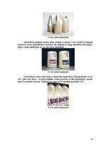 Referāts 'Piena iepakošana', 26.