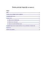 Referāts 'Vispārējie un nozaru tiesību principi', 1.