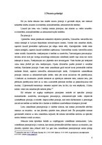 Referāts 'Vispārējie un nozaru tiesību principi', 8.