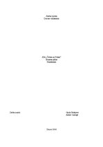 Biznesa plāns 'SIA "Čižiks un Pižiks"', 2.