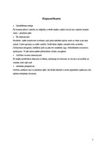 Biznesa plāns 'SIA "Čižiks un Pižiks"', 5.