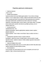 Biznesa plāns 'SIA "Čižiks un Pižiks"', 6.