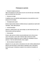 Biznesa plāns 'SIA "Čižiks un Pižiks"', 7.