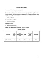 Biznesa plāns 'SIA "Čižiks un Pižiks"', 8.