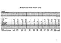 Biznesa plāns 'SIA "Čižiks un Pižiks"', 13.