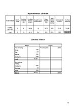 Biznesa plāns 'SIA "Čižiks un Pižiks"', 14.