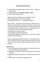 Konspekts 'Feminisma veidi', 2.