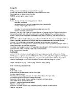 Prezentācija 'Dienvidaustrumu Āzijas kultūras reģions', 14.