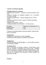 Referāts 'SIA "Darbs Jums!" attīstības plāns', 5.