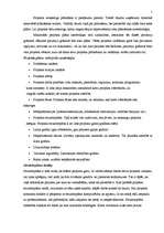 Konspekts 'Projekta detalizēta plānošana', 1.