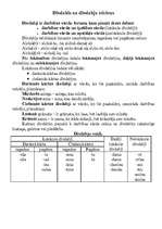 Konspekts 'Divdabis un divdabja teiciens', 1.