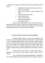 Diplomdarbs 'Uzņēmuma iekšējais imidžs un korporatīvā kultūra', 19.