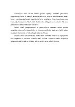 Paraugs 'Digitālie stereoattēli, attēlu stereoapskate un analīze', 3.