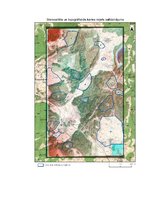 Paraugs 'Digitālie stereoattēli, attēlu stereoapskate un analīze', 4.