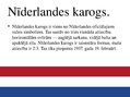 Prezentācija 'Nīderlande', 6.