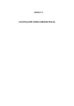 Referāts 'Atjaunojamie energoresursi Polijā', 1.