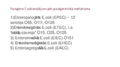 Prezentācija 'Escherichia coli mikrobioloģiskās diagnostikas principi', 6.