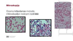 Prezentācija 'Escherichia coli mikrobioloģiskās diagnostikas principi', 8.