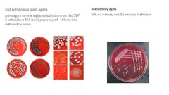 Prezentācija 'Escherichia coli mikrobioloģiskās diagnostikas principi', 10.
