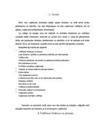 Referāts 'Vispārējā vadības ABC', 2.