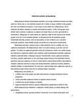 Referāts 'Sabierisko attiecību loma firmas stratēģijā', 8.