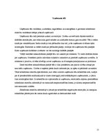 Referāts 'Sabierisko attiecību loma firmas stratēģijā', 13.