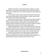 Referāts 'Sabierisko attiecību loma firmas stratēģijā', 19.