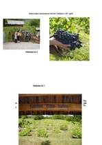 Referāts 'Sabile', 4.