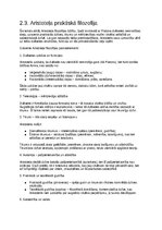 Konspekts '''Rietumeiropas morāles filozofija'' konspekts', 6.