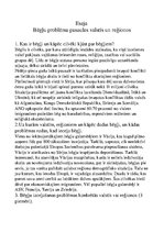 Eseja 'Eseja par bēgļiem', 1.