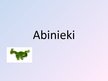 Prezentācija 'Abinieki', 1.