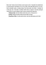 Konspekts 'Putnu vērojums ziemā. Integrētā nodarbība', 6.